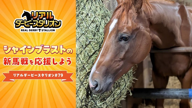 【リアルダビスタ】シャインブラストの新馬戦を応援しよう