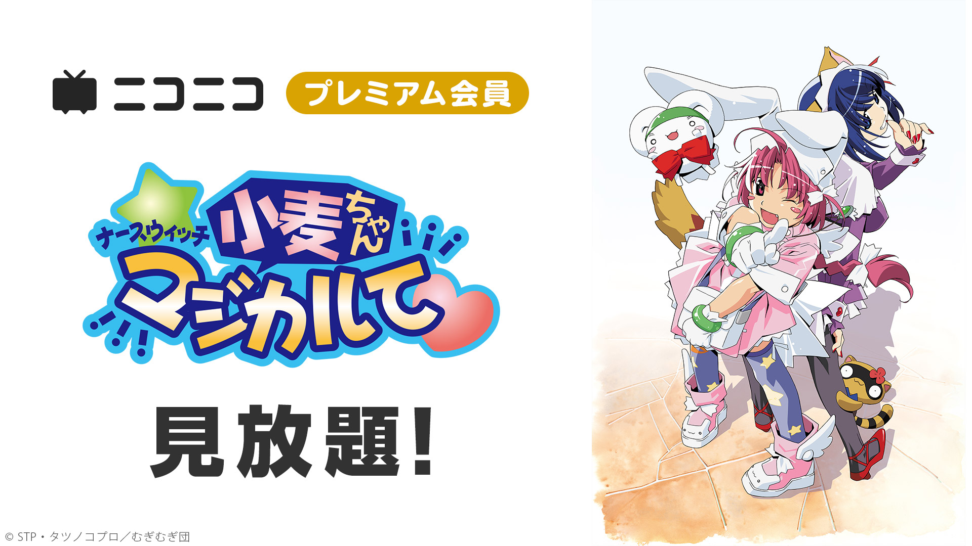 ナースウイッチ小麦ちゃんマジカルて