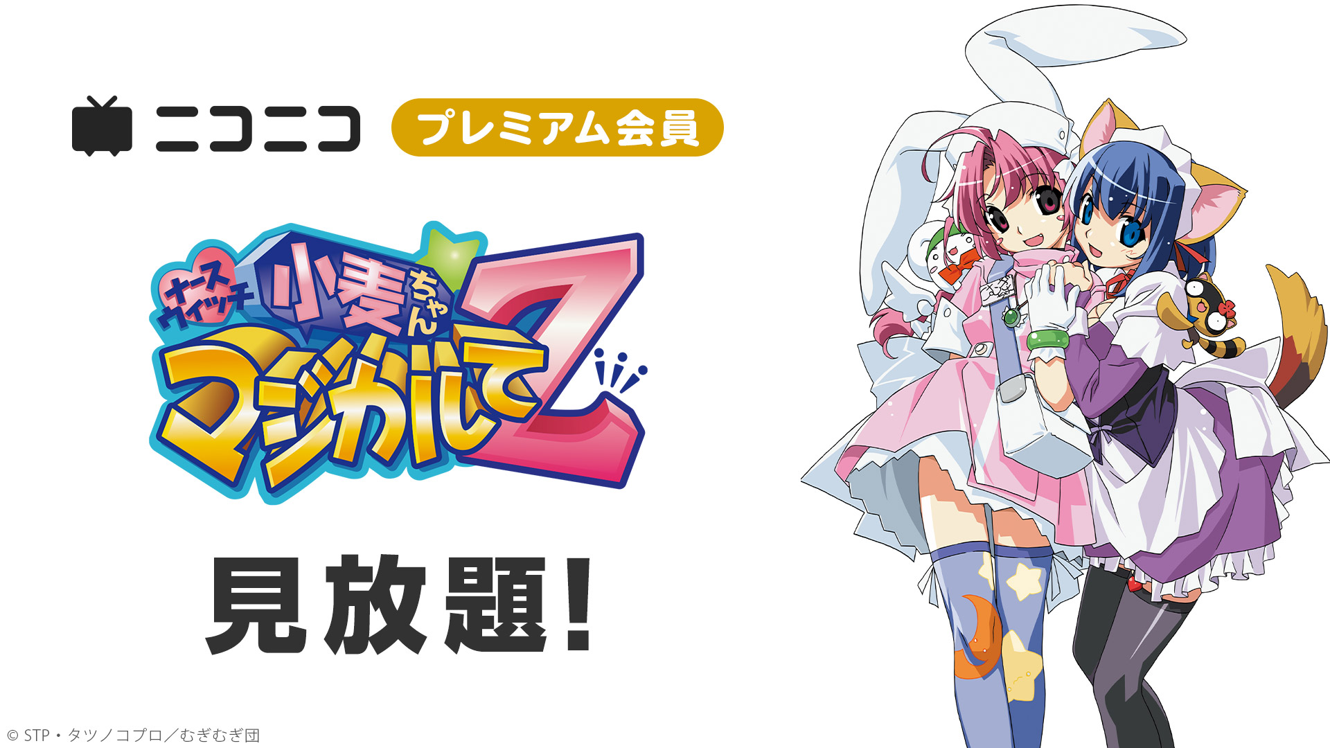 ナースウィッチ小麦ちゃんマジカルてZ