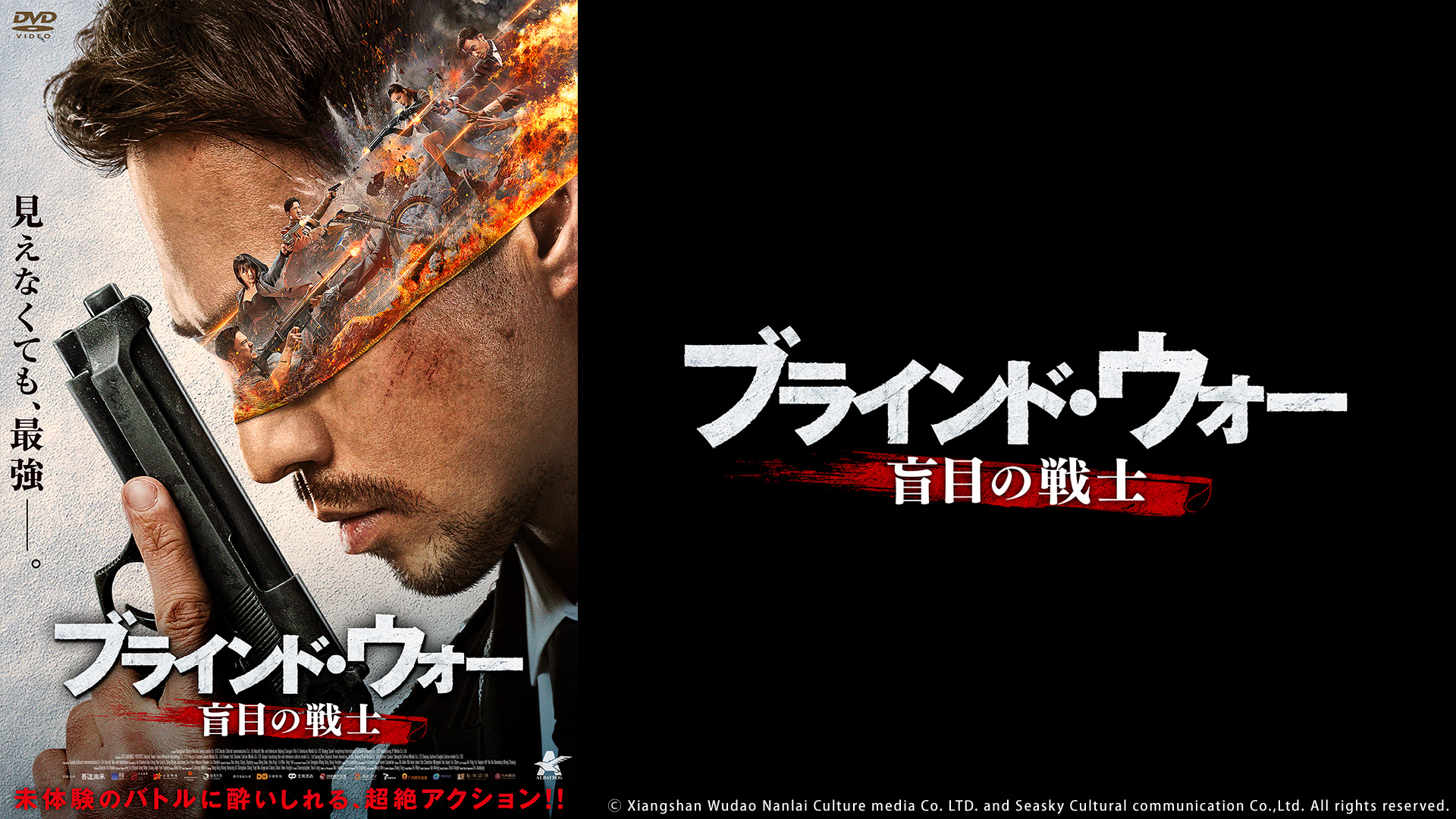 ブラインド・ウォー 盲目の戦士